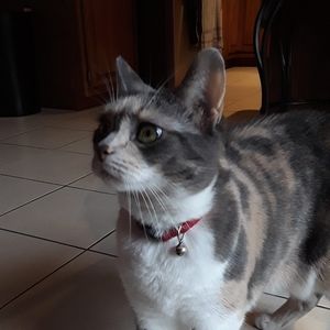 Meet your Posher, Evan